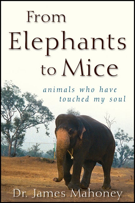 Book cover image for From Elephants to Mice ISBN: 9780470501580